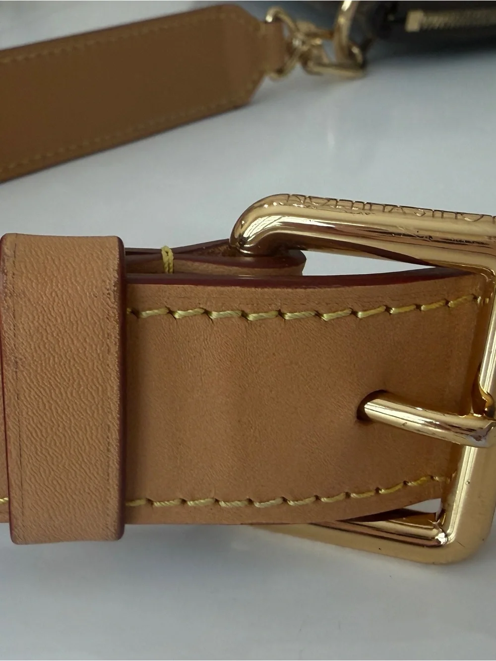 Louis Vuitton iconic lv